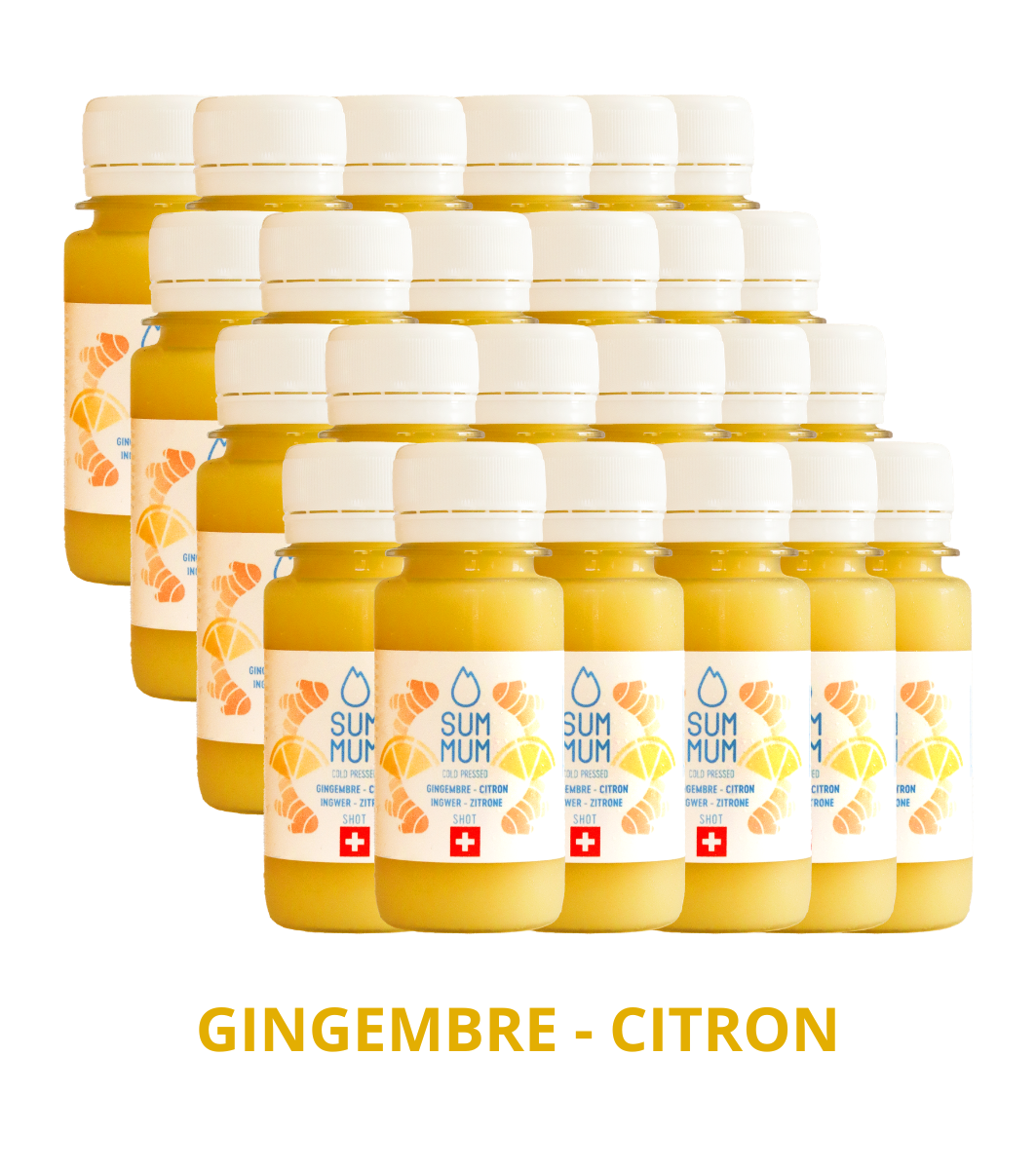 Pack 24 Shots Gingembre Citron