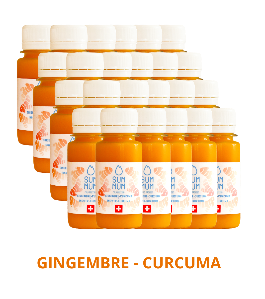 Pack 24 Shots Curcuma Gingembre